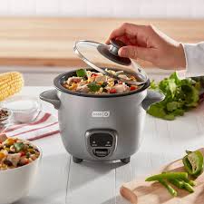 Dash 2-Cup Electric Mini Rice Cooker - Graphite