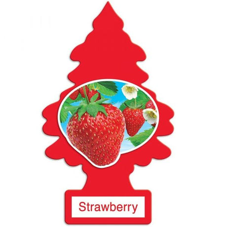 LITTLE TREES CAR AIR FRESHENERS - AGSWHOLESALE