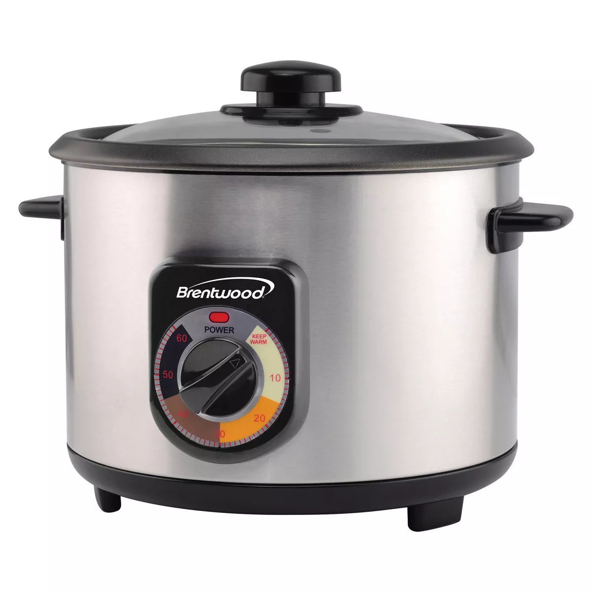 Brentwood 8-Cups Uncooked/16-Cups Cooked Electric Crunchy Persian Rice Cooker, Stainless Steel in Silver, Size: 16 Cup