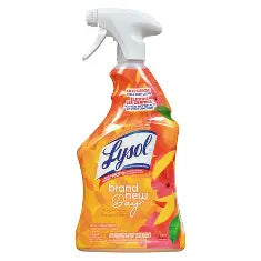 Lysol Disinfectant Mango & Hibiscus Cleaner Spray 650ml